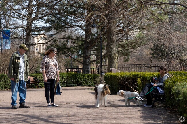 Residents of McDowell Forest Preserve love to take their pups for a walk.