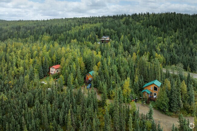A row of modest cabin homes built amongst the trees in Goldstream.