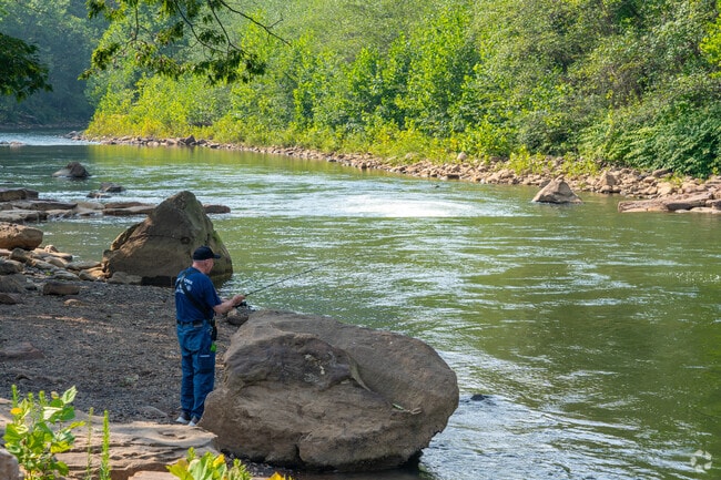 The water is clean, making Greenhouse Park a great fishing spot.