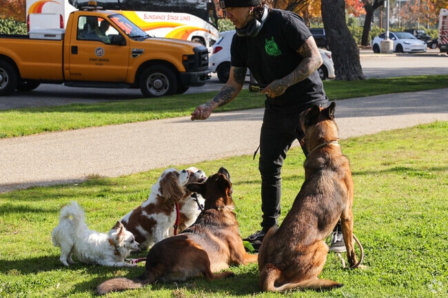 Pico-Robertson residents can spend time with their furry friends