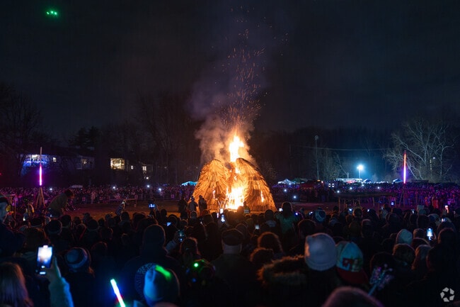 The Phoenix slowly goes up in flames at the Firebird Festival in Phoenixville.