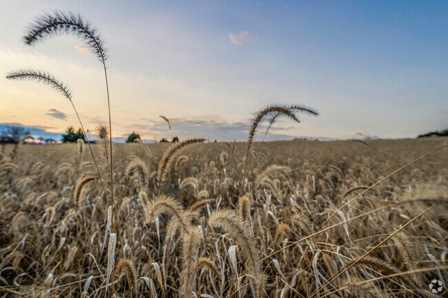 In Bushkill Township, the sunsets never grow old and light up the countryside each evening.