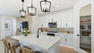 Wild Hazel, Buckeye, AZ 85396