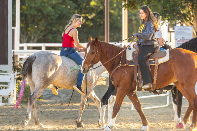 The Huntington Central Park Equestrian Center, near the Adams neighborhood, is a premier riding facility spanning 25 acres, offering scenic trails, professional lessons, and boarding services.