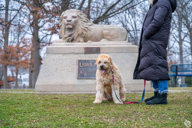 Lions Park is a great spot to bring the dogs for a morning walk.