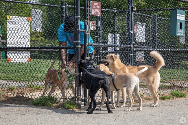 Visit the dog park at Bell Branch Park in Gambrills.