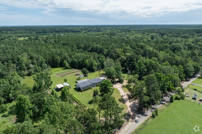 Many Hunter-Lula homes are surrounded by trees offering complete privacy.