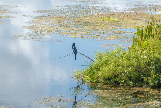 Emeralda Marsh Conservation Area and Wildlife Drive offers Lisbon visitors stunning views.