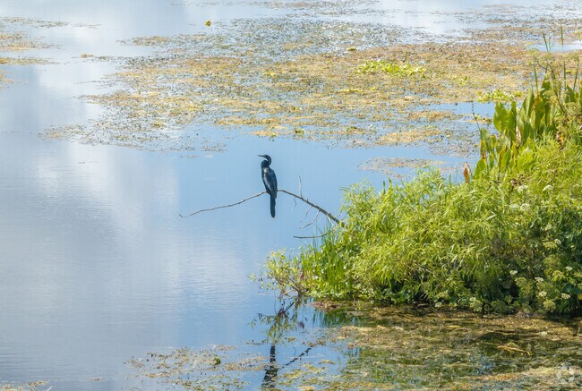 Emeralda Marsh Conservation Area and Wildlife Drive offers Lisbon visitors stunning views.