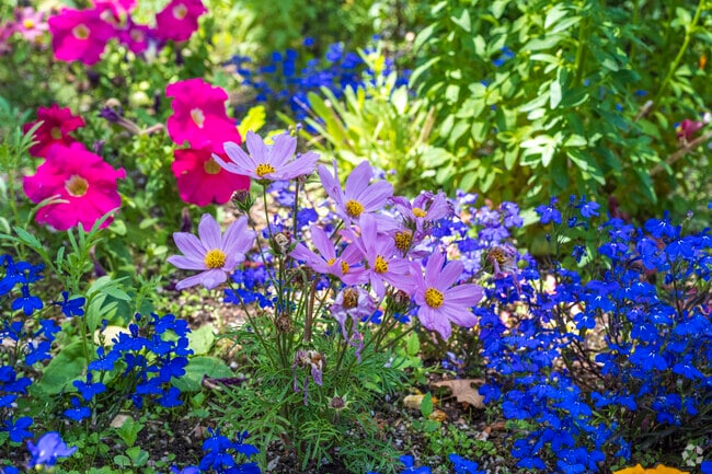 Flowers bloom each spring throughout Huning Castle.