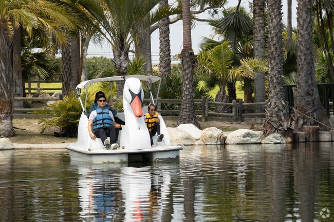 Swan pedal boats can be rented at Wheel Fun Rentals in Fountain Valley.
