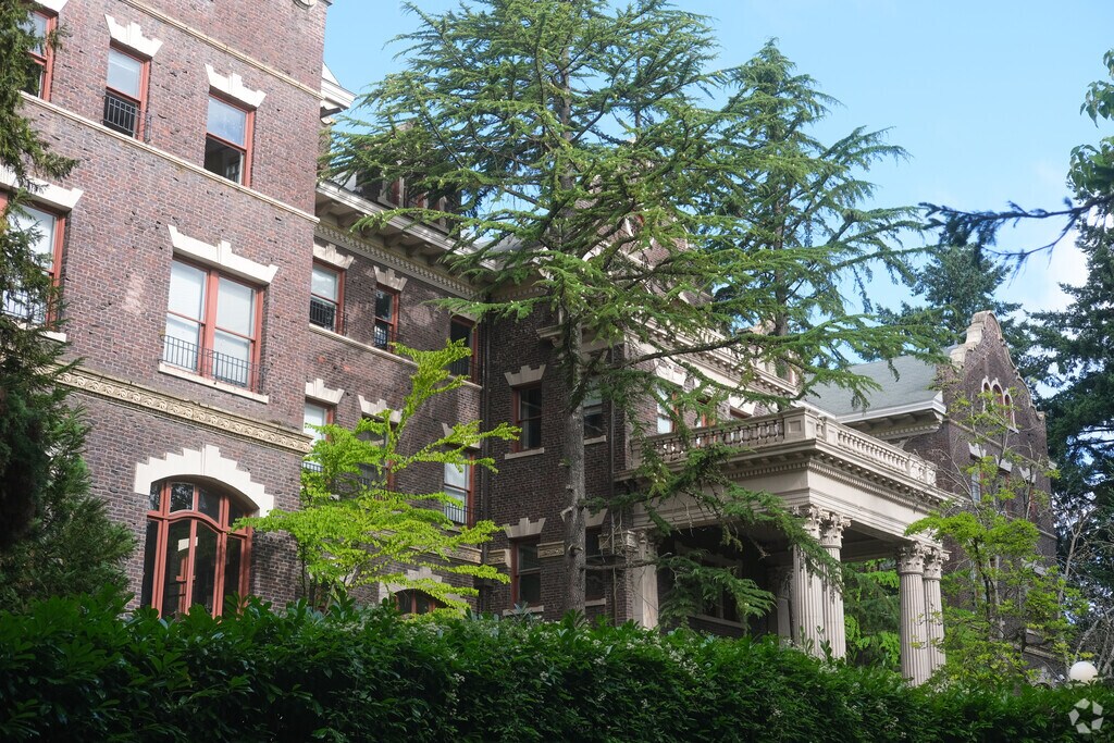 Foliage outside of Seattle Hebrew Academy in Stevens, Seattle WA
