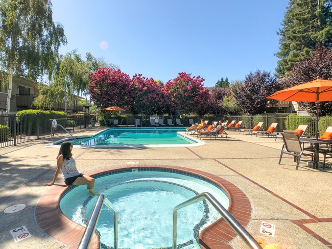 The Shadows Apartments, Mountain View, CA 94043 - photo 6