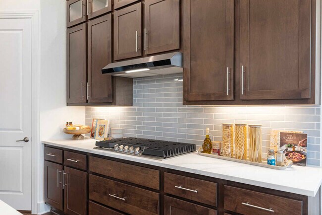 243 Jackson River Loop, Kyle, TX 78640 - photo 7