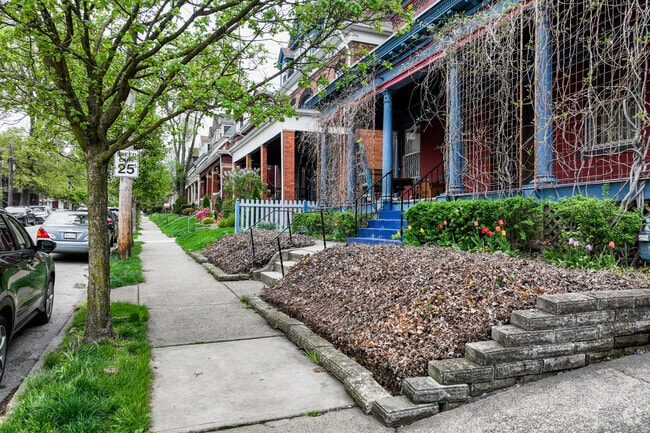 Walk the tree-lined sidewalks in Friendship.