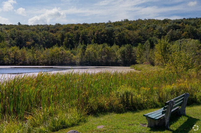 Lake Marie is a favorite destination for unwinding on a bench or enjoying a peaceful picnic in a scenic setting.