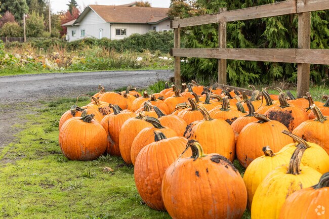 At Halloween residents of Coburg love getting fresh pumpkins from Harry's Berries in town.