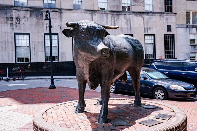 Major is a the 2,000-pound, 10 ft. bronze bull statue  in the center of downtown Durham.