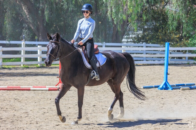 Horses are a major part of the culture and history of Rolling Hills.
