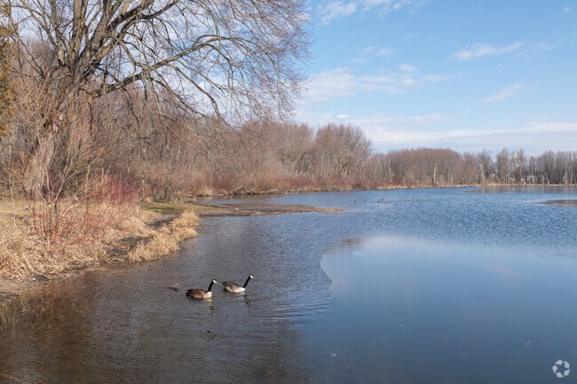 Emmons Lake in Caledonia is a peaceful and beautiful retreat to get close to nature.