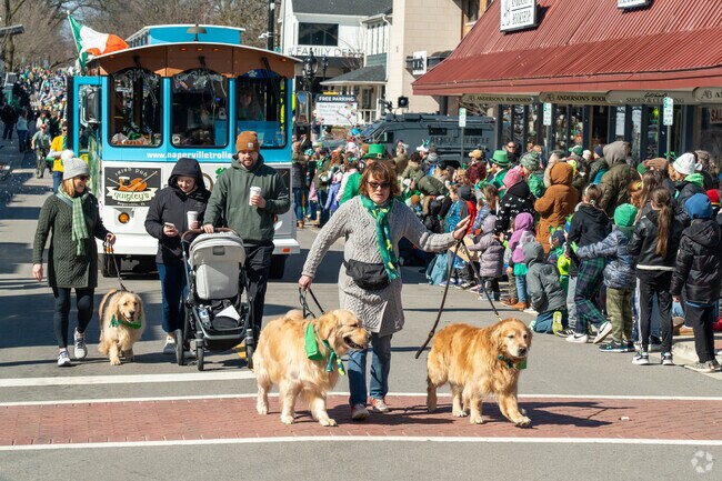 Pets were also part of the festivities at Naperville's 2024 St. Patrick's Day Parade.