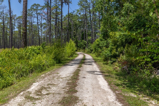 Many of the streets in Olustee are still unpaved and narrow.