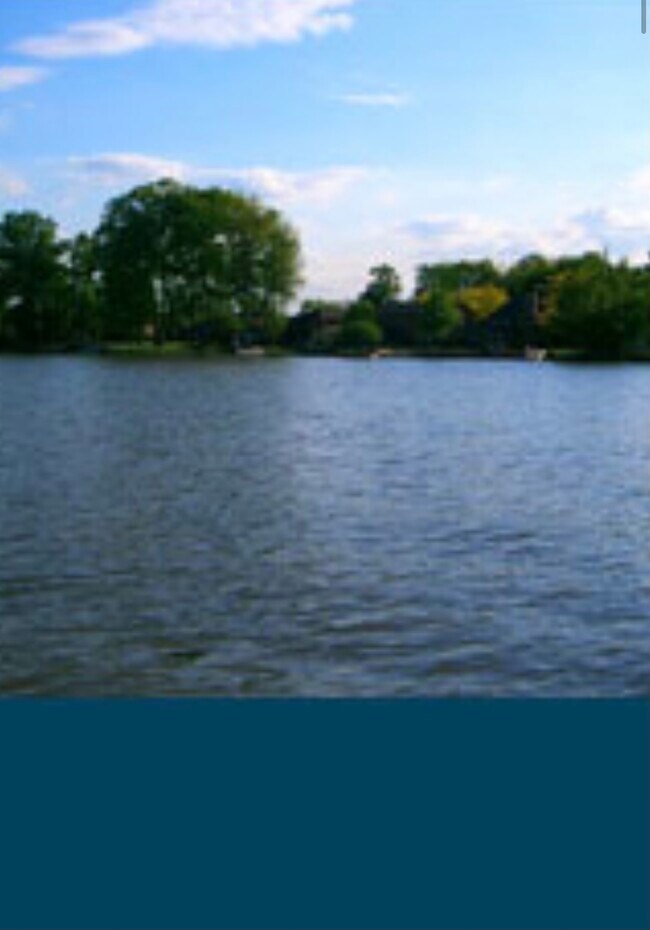 10092 Hideaway Cove, Aurora, OH 44202 - photo 6