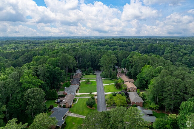 Homes sit nestled into a thick tree canopy in the Sagamore Hills neighborhood.