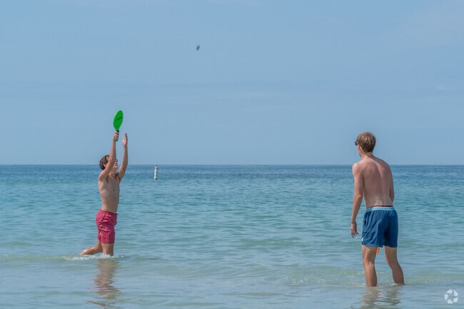 Families play in the shallow, clear waters of Indian Rocks Beach near the shoreline.