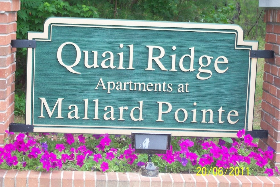Quail Ridge at Mallard Pointe, Arab, AL 35016 - photo 1