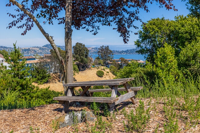 Long the eastern boarder of Marin city rests many areas to enjoy the outdoors.