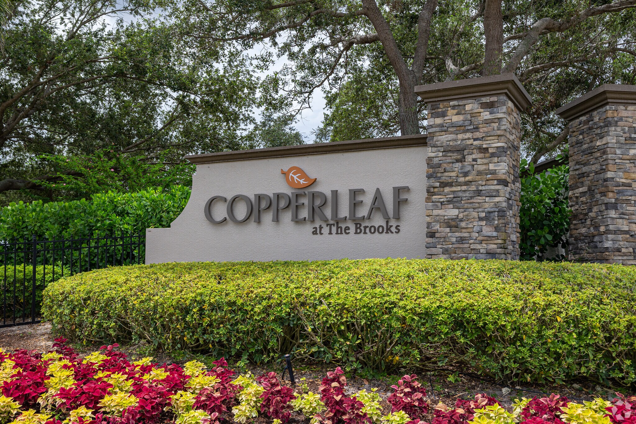 About Corkscrew Shores Schools, Demographics, Things to Do