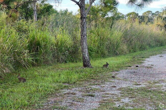 Royal Oaks-   Walking trail around lake in  George LeStrange Park