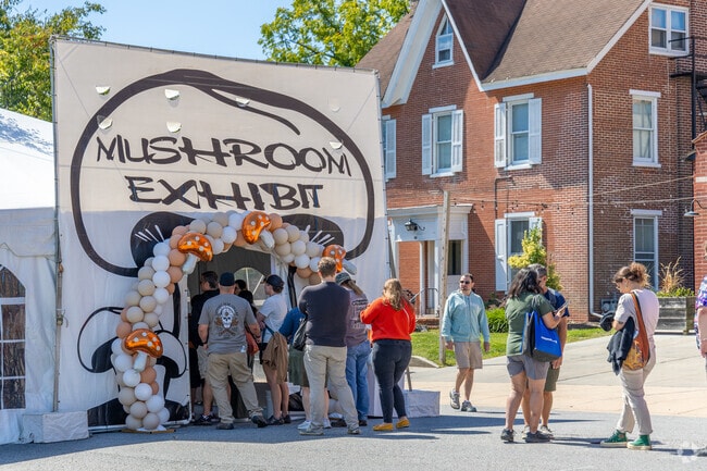 Explore different types of mushrooms and how they grow in the Mushroom Festival's exhibit.