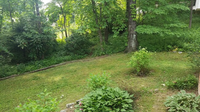 Side yard view from kitchen door. Lots of Rhodie bushes and wildflowers all around.