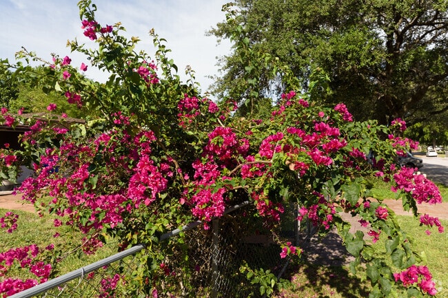 Enjoy the beautiful nature around Highland Garden.