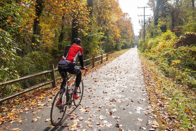 A cyclist rides along the Baltimore and Annapolis Trail, in Severna Park.