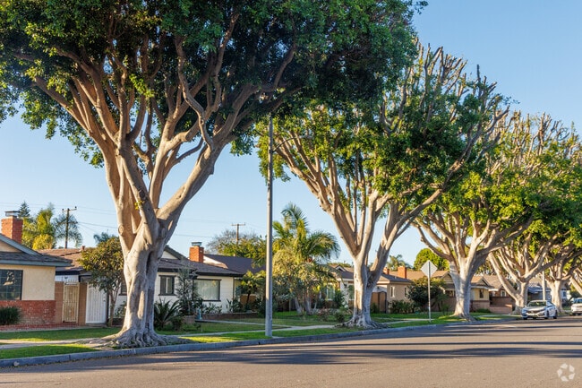 Paramount's has boulevards lined with majestic trees and is a designated  Tree City, USA.