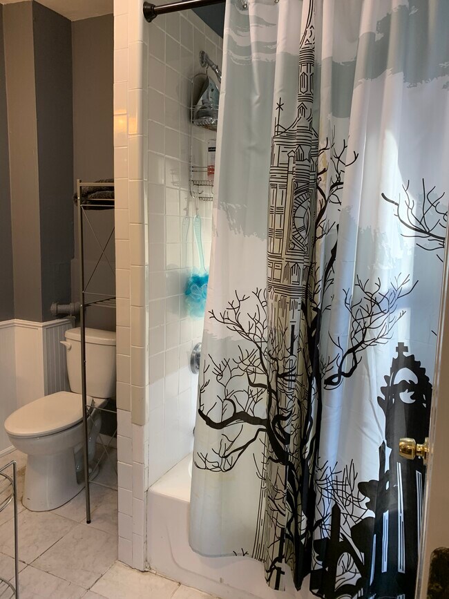 60 Saint James St unit 2, Boston, MA 02119 - photo 6