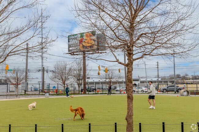 Fair Park Dog Park has a large play area for big and small dogs near Berry Hill.