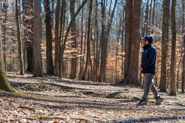 The Mallard Creek Greenway and others are easily accessible in Mallard Creek-Withrow Downs.
