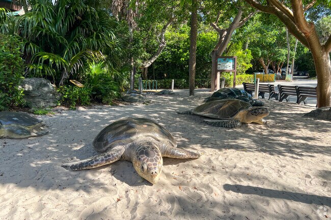 The Gumbo Limbo Center in Boca Raton is a 20-acre preserve protecting sea turtles and wildlife.