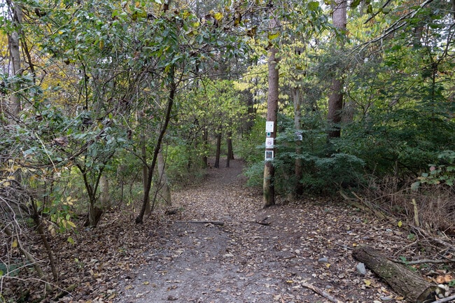 Winnick Woods is a favorite trail near Stanwood Park.