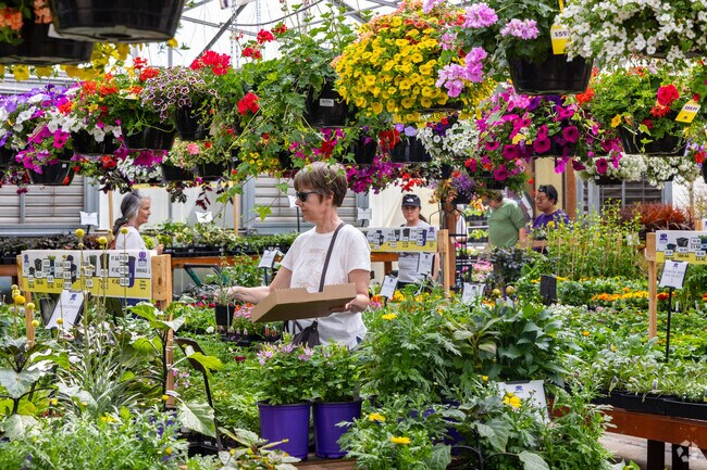 Go plant shopping at Registry Ridge's most popular garden center, Gulley Greenhouse and Garden Center.
