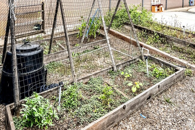 Alta Loma Elementary has student gardens for doing and learning.