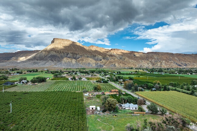 Palisade Area is known for its delicious peaches and excellent wine.