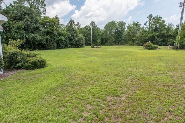 1900 Lee Rd 61, Auburn, AL 36832 - photo 4