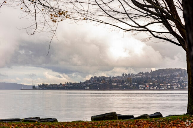 Browns Point is visible in the distance of this framed image.
