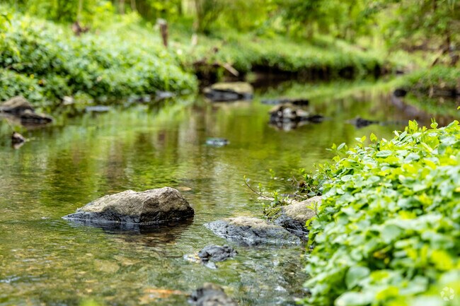 Lansdowne residents enjoy the serenity of Zandale Park, which was established in the 1960s.