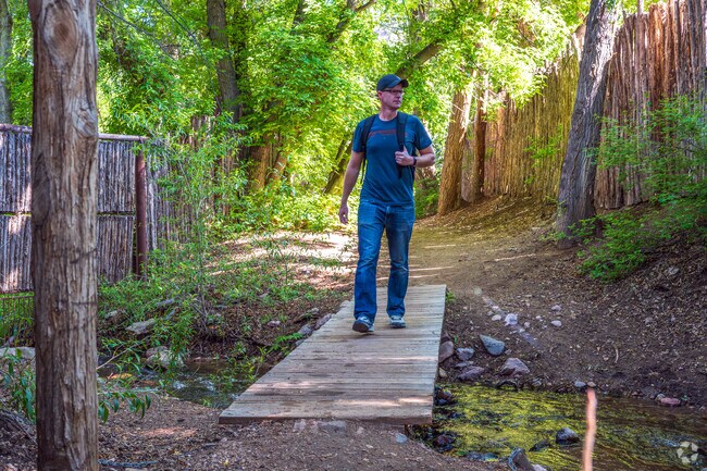 Enjoy a mountain hike through the Santa Fe National Forest on Tesuque Creek Trail.